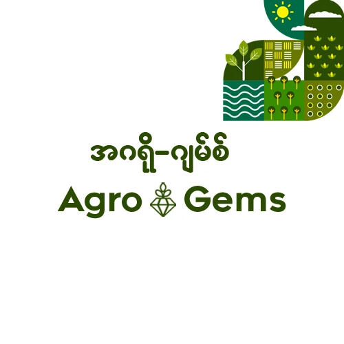 Agro-Gems အဂရို ဂျမ်စ်
